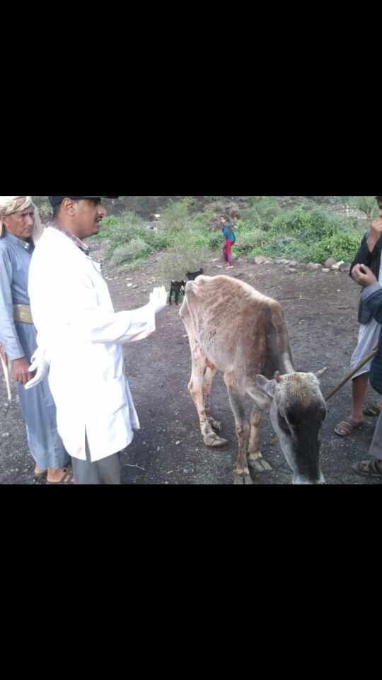 The courses available are in health and animal nutrition