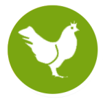 Training in poultry farming