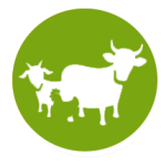 Training in animal husbandry