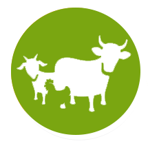 Training in animal husbandry