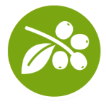 Training in the cultivation of coffee