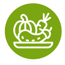 Training in vegetable growing